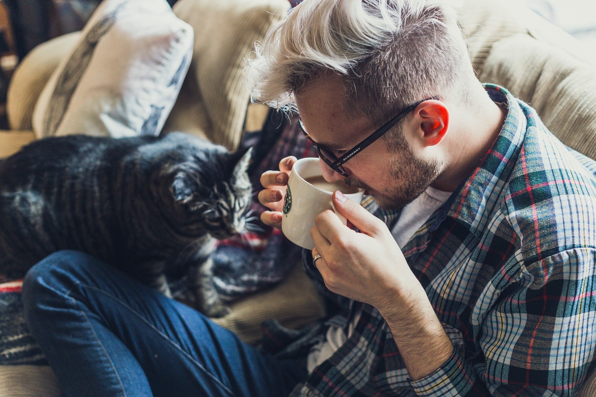 person drinking coffee on a couch with a cat