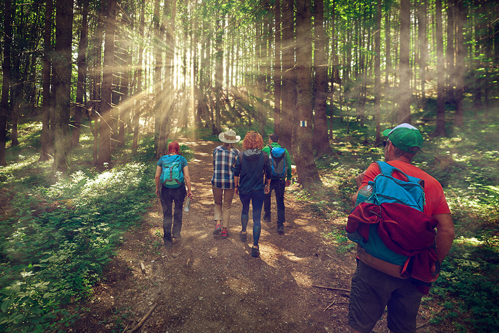 Group of hikers