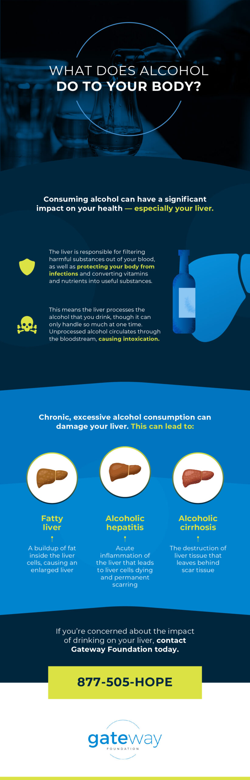 How Alcohol Affects Your Liver Gateway Foundation
