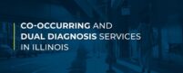 Co-occuring and dual diagnosis services