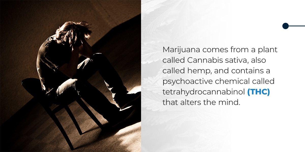 what is marijuana
