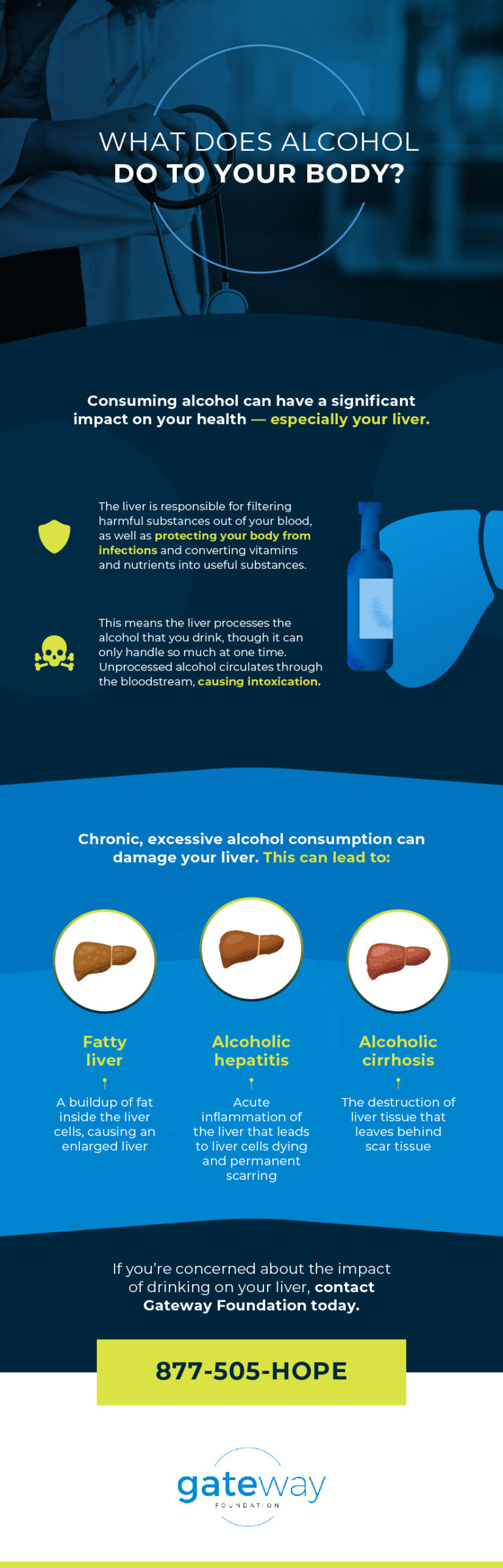 How Alcohol Affects Your Liver Gateway Foundation