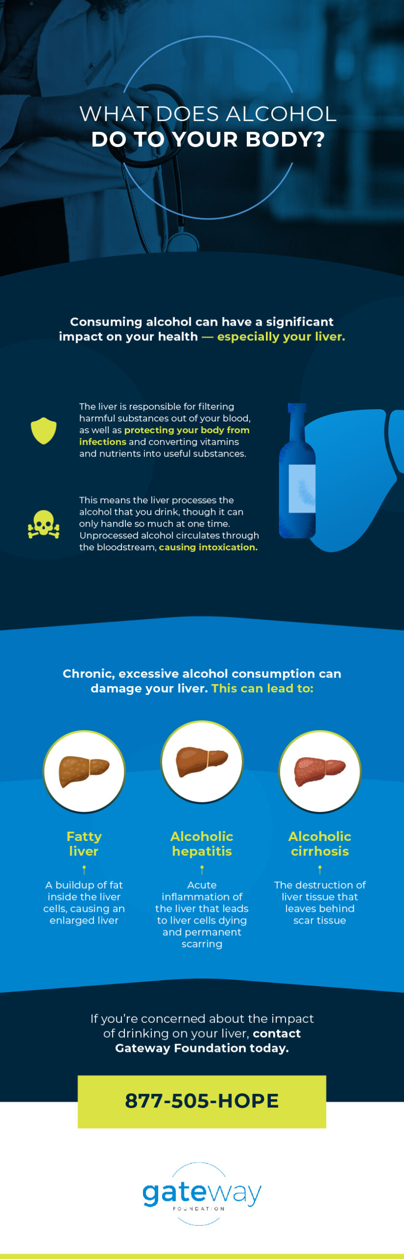 How Alcohol Affects Your Liver Gateway Foundation